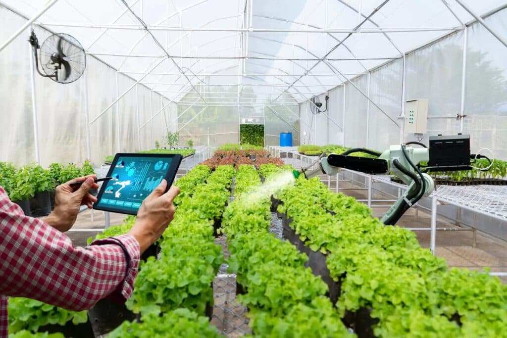 Commercial greenhouse supporting a sustainable agriculture operation